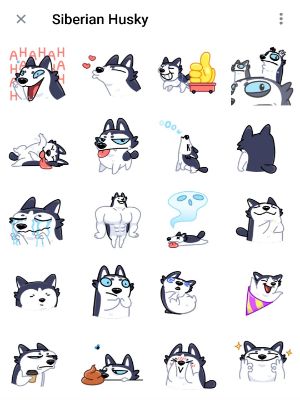 Siberian Husky Telegram Animated Sticker pack