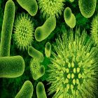 /blog/biology-telegram-group-links