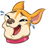 /blog/chihuahua-telegram-stickers