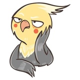 /blog/parrot-telegram-stickers