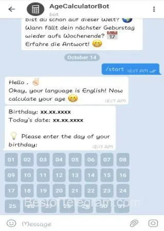 AgeCalculatorBot preview 2