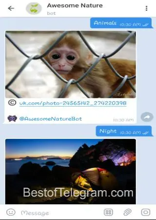 Awesome Nature preview 3