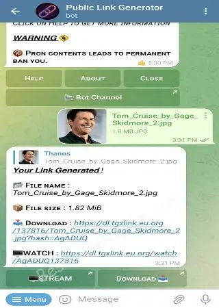 Public Link Generator preview 2