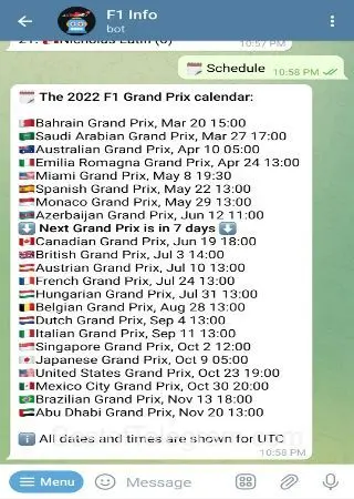 F1 Info preview 4