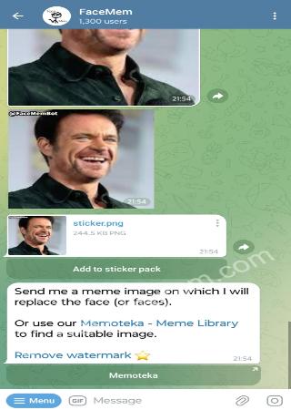 FaceMemBot bot step 4