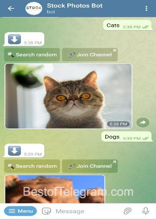 FreeStockPhotosBot bot step 2