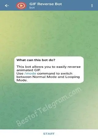 GIF Reverse preview 1