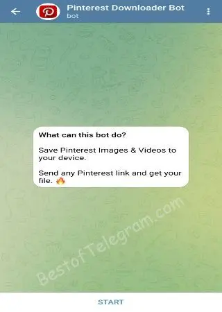 Pinterest Downloader preview 1