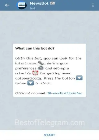 NewsBot 📰 preview 1