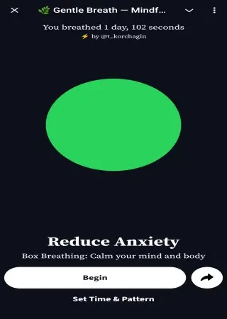 🌿 Gentle Breath — Mindful Guidance preview 2