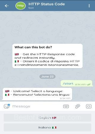 HttpResponse Botbot step 2