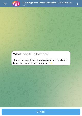 Ig Downloader Telegram Bot