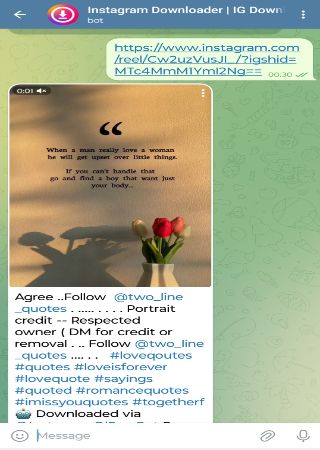 InstagramDlPro_Bot bot step 2