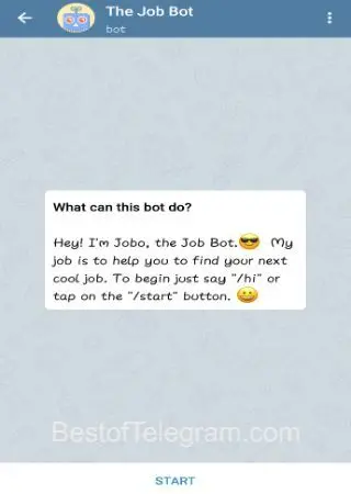 The Job Bot preview 1