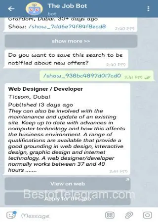 The Job Bot preview 4