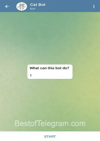Cat Bot preview 1