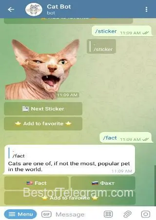 Cat Bot preview 4