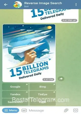 Reverse Image Search preview 2