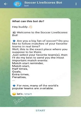 Soccer LiveScores preview 1