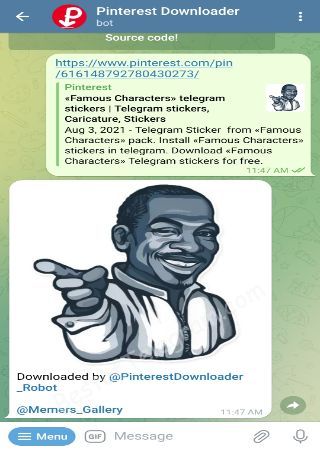 PinterestDownloader_Robot bot step 2