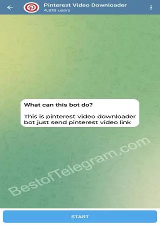 Pinterest Video Downloader preview 1