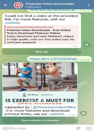 PinterestVideoDlBot bot step 2