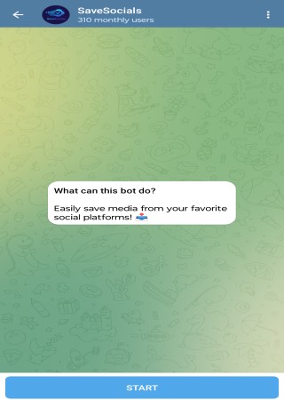 Save Socials bot step 1