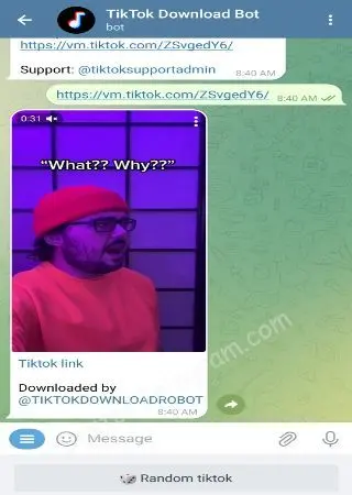 TikTok Download preview 2