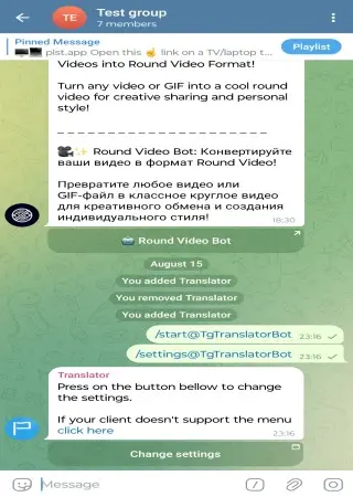 Translator preview 4