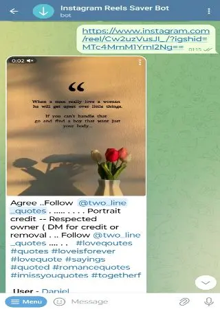 Instagram Reels Saver Bot preview 2