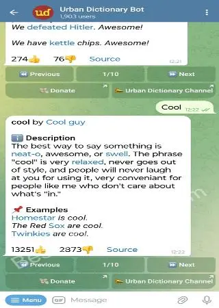 Urban Dictionary Bot preview 2