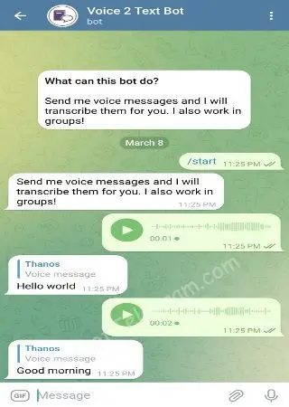 Voice 2 Text preview 2