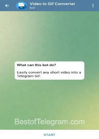 Video to Gif Converter preview 1