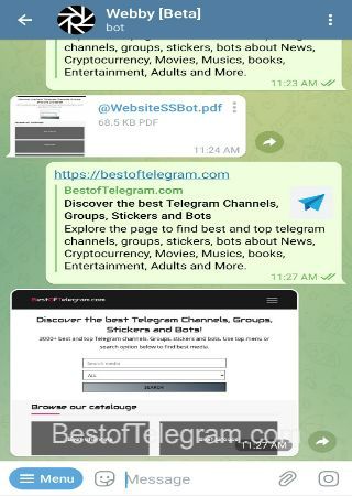 WebsiteSSBot bot step 3