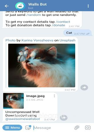 awesomewallsbot step 2