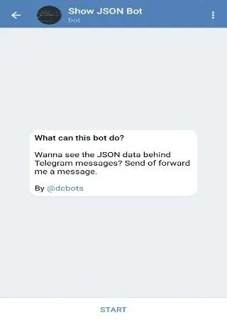 Show JSON Bot preview 1
