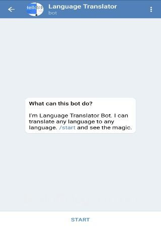 french translate bot