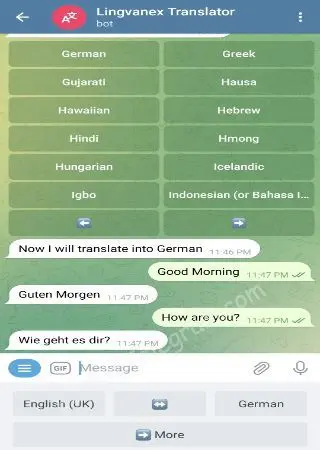 Lingvanex Translator preview 3