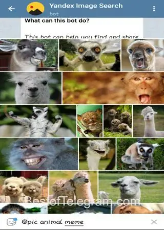 Yandex Image Search preview 2