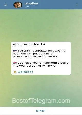 picaibot preview 1