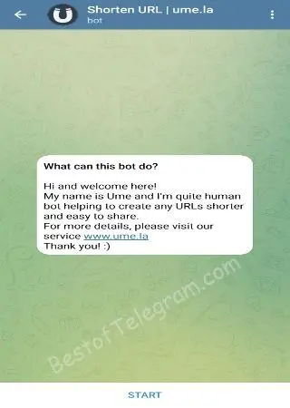 Shorten URL preview 1