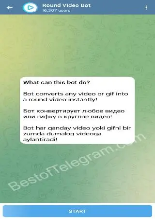 Round Video Bot preview 1