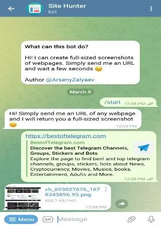 Site Hunter preview 2