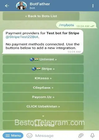 Stripe Bot preview 2