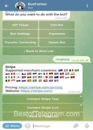 Stripe Bot preview 3