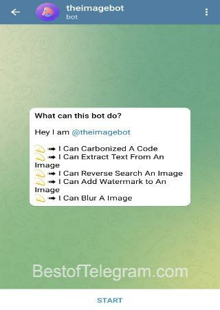 theimagebot bot step 1