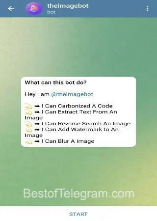 the image bot preview 1