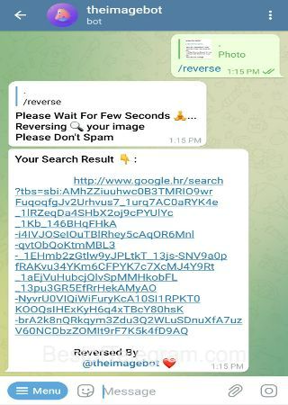 theimagebot bot step 3