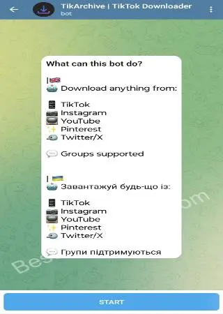 TikArchive | TikTok Downloader preview 1