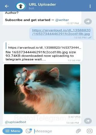 URL Uploader preview 2